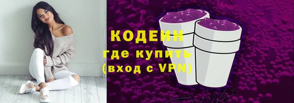 гидра Инсар