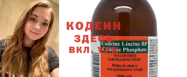 ГАЛЛЮЦИНОГЕННЫЕ ГРИБЫ Каменка