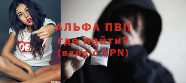 ГАЛЛЮЦИНОГЕННЫЕ ГРИБЫ Каменка