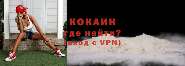 крисы Каменногорск