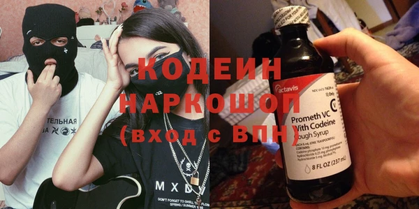крисы Каменногорск