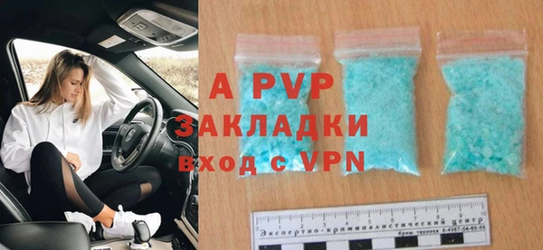 ГАЛЛЮЦИНОГЕННЫЕ ГРИБЫ Каменка